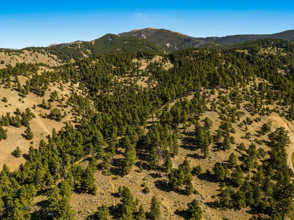 405 Resolute Ridge Road