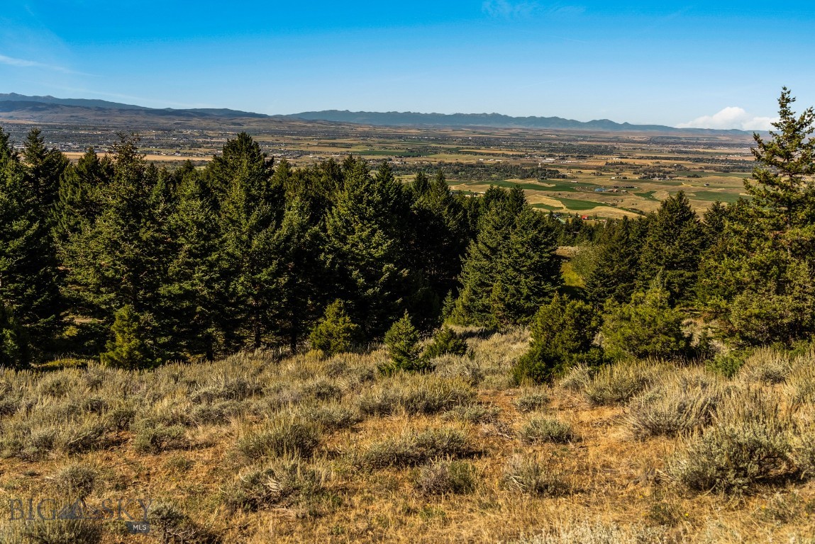 405 Resolute Ridge Road