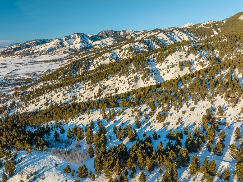 405 Resolute Ridge Road