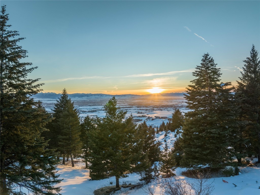 405 Resolute Ridge Road