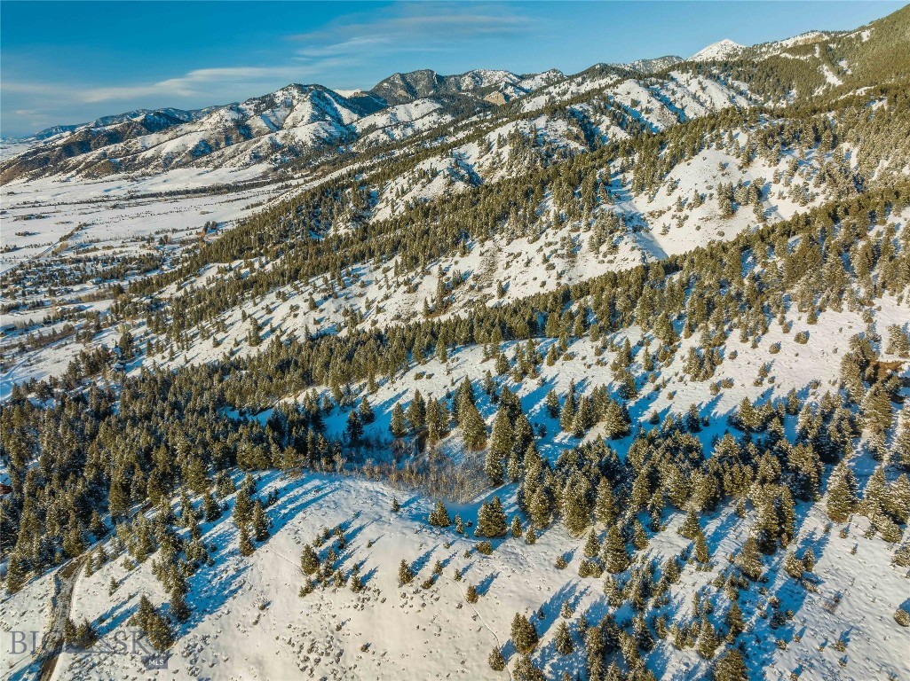 405 Resolute Ridge Road