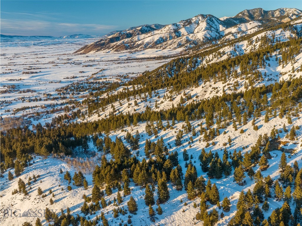 405 Resolute Ridge Road