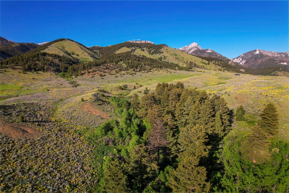 Bridger Foothills Ranch at Four Bar Ranches