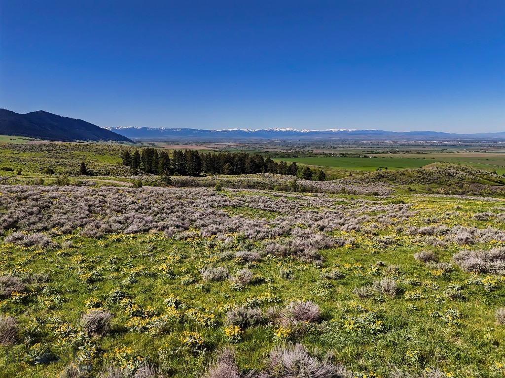 Bridger Foothills Ranch at Four Bar Ranches