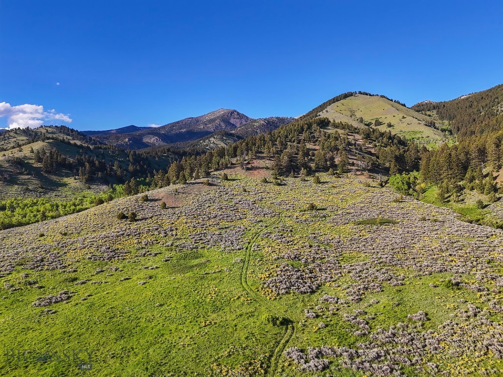 Bridger Foothills Ranch at Four Bar Ranches