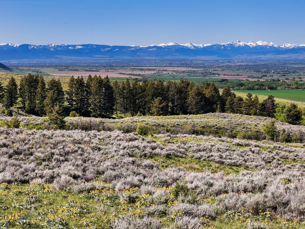 Bridger Foothills Ranch at Four Bar Ranches