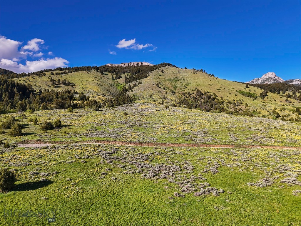 Springhill Vistas Ranch at Four Bar Ranches