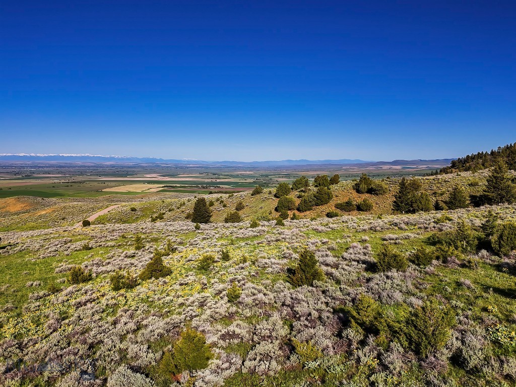 Springhill Vistas Ranch at Four Bar Ranches