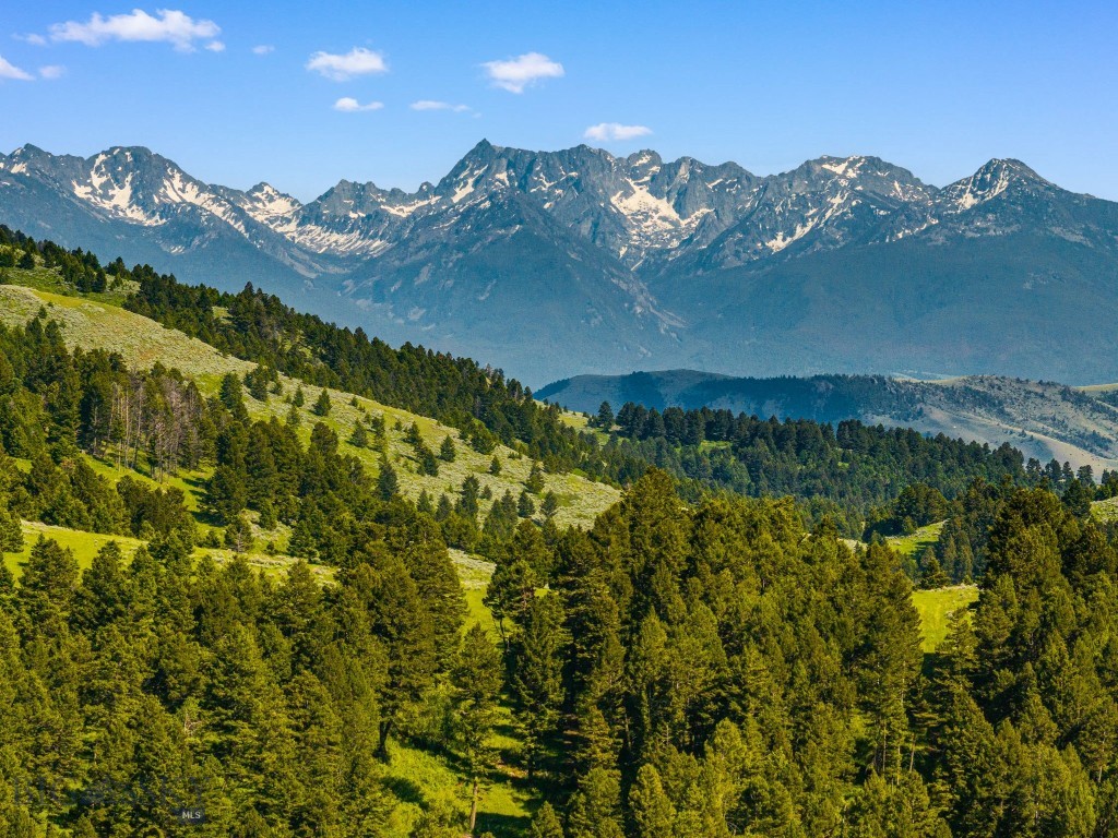 755 Coffee Creek Road