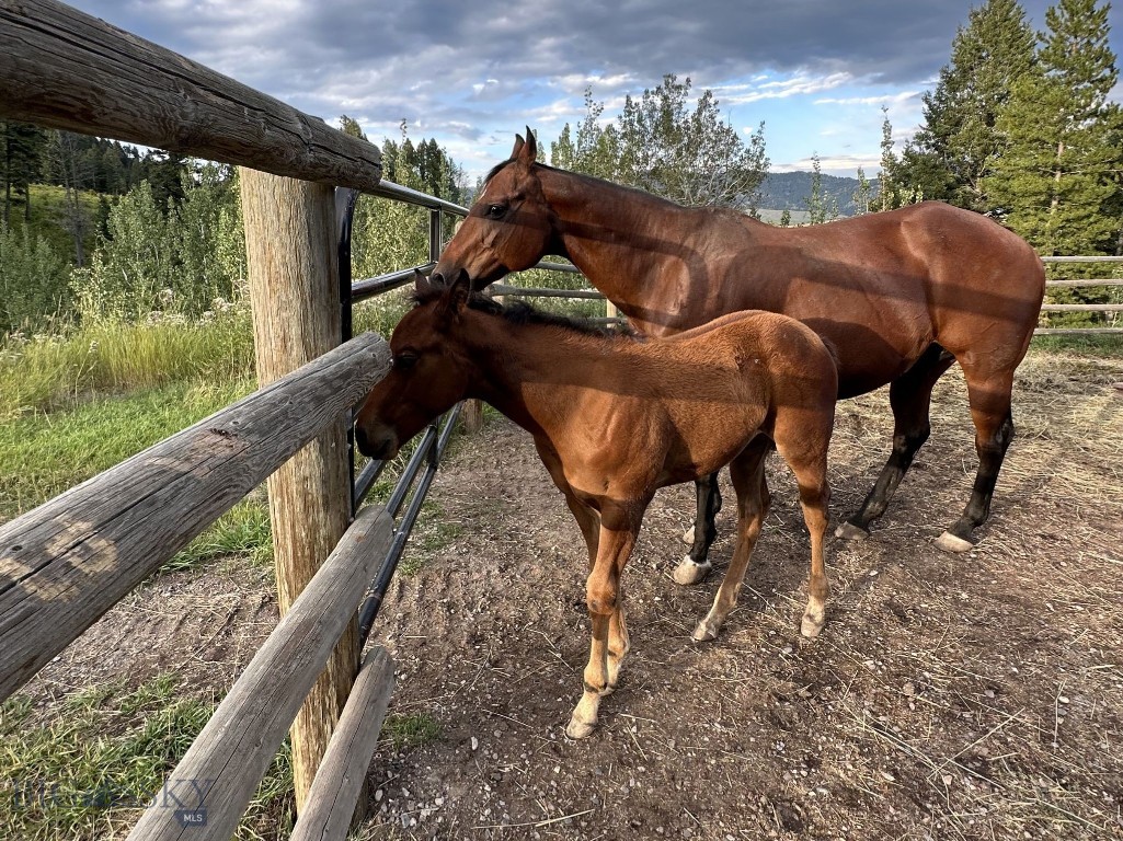 1220 Green Valley Way