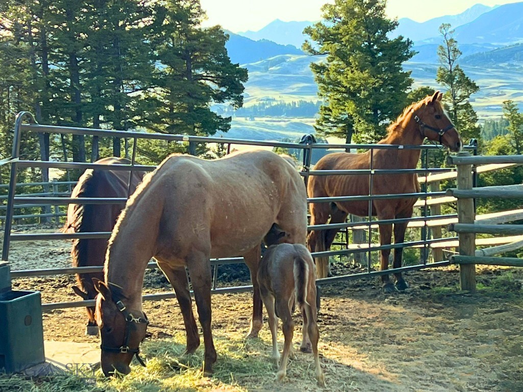 1220 Green Valley Way