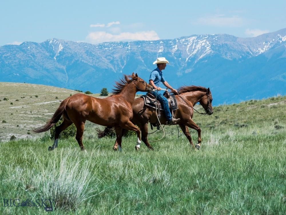 Lot 115 TBD Mossy Rock Road