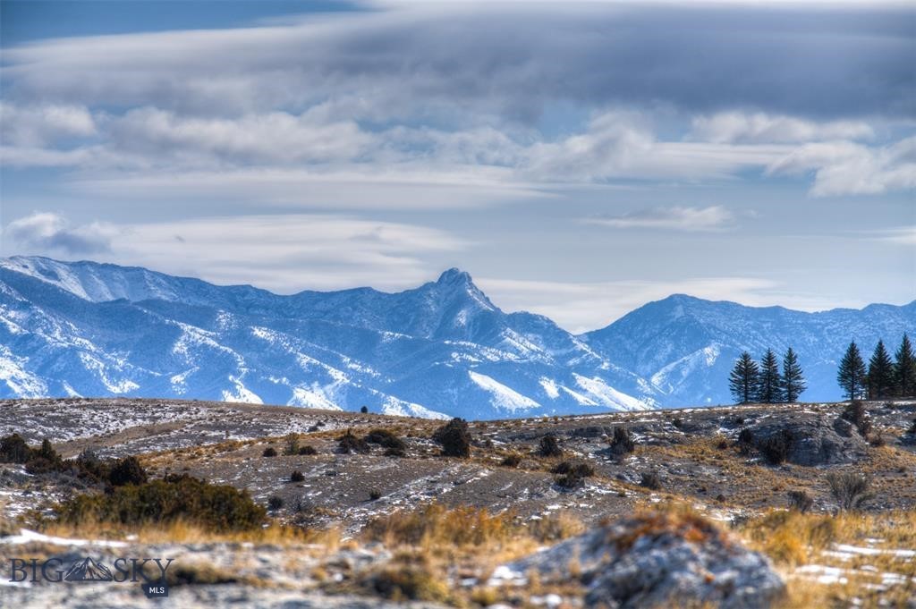 Lot 115 TBD Mossy Rock Road
