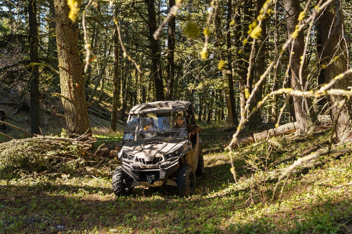 271 Sled Run Road