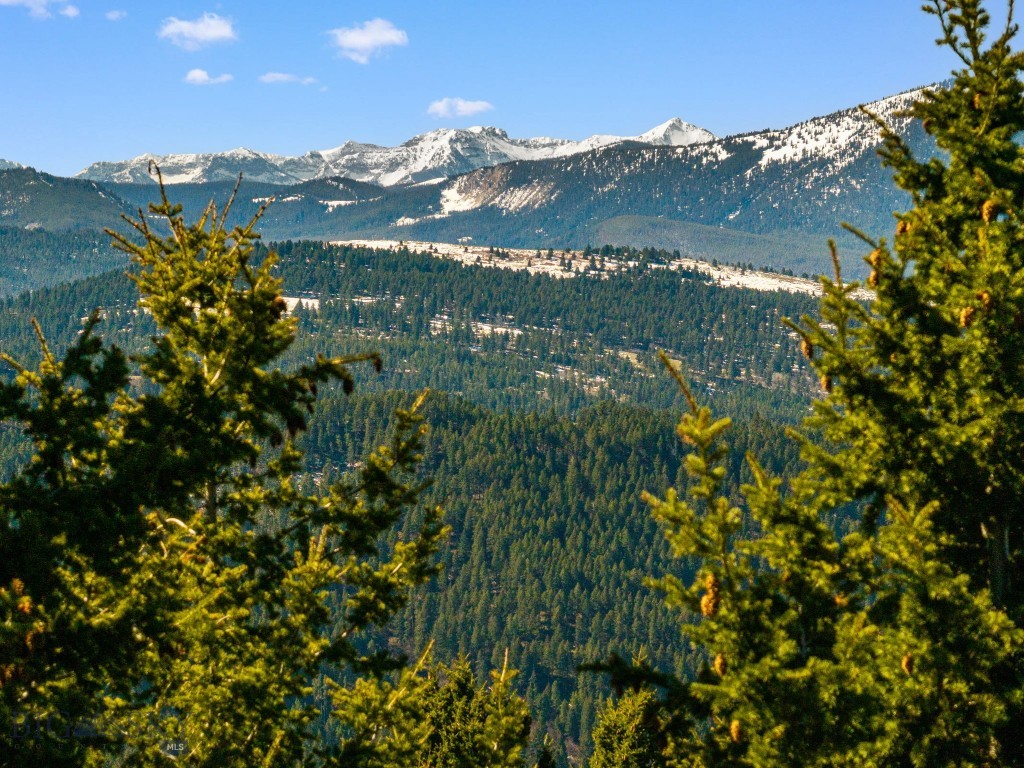 271 Sled Run Road