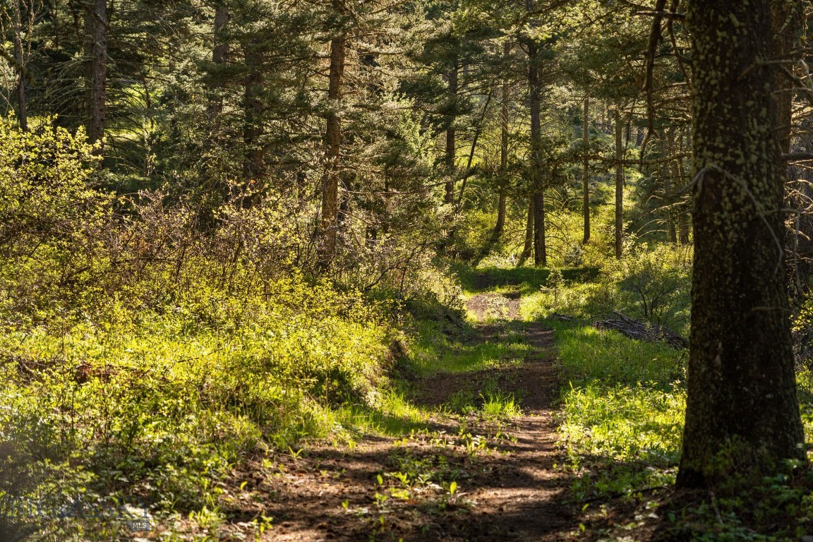 271 Sled Run Road