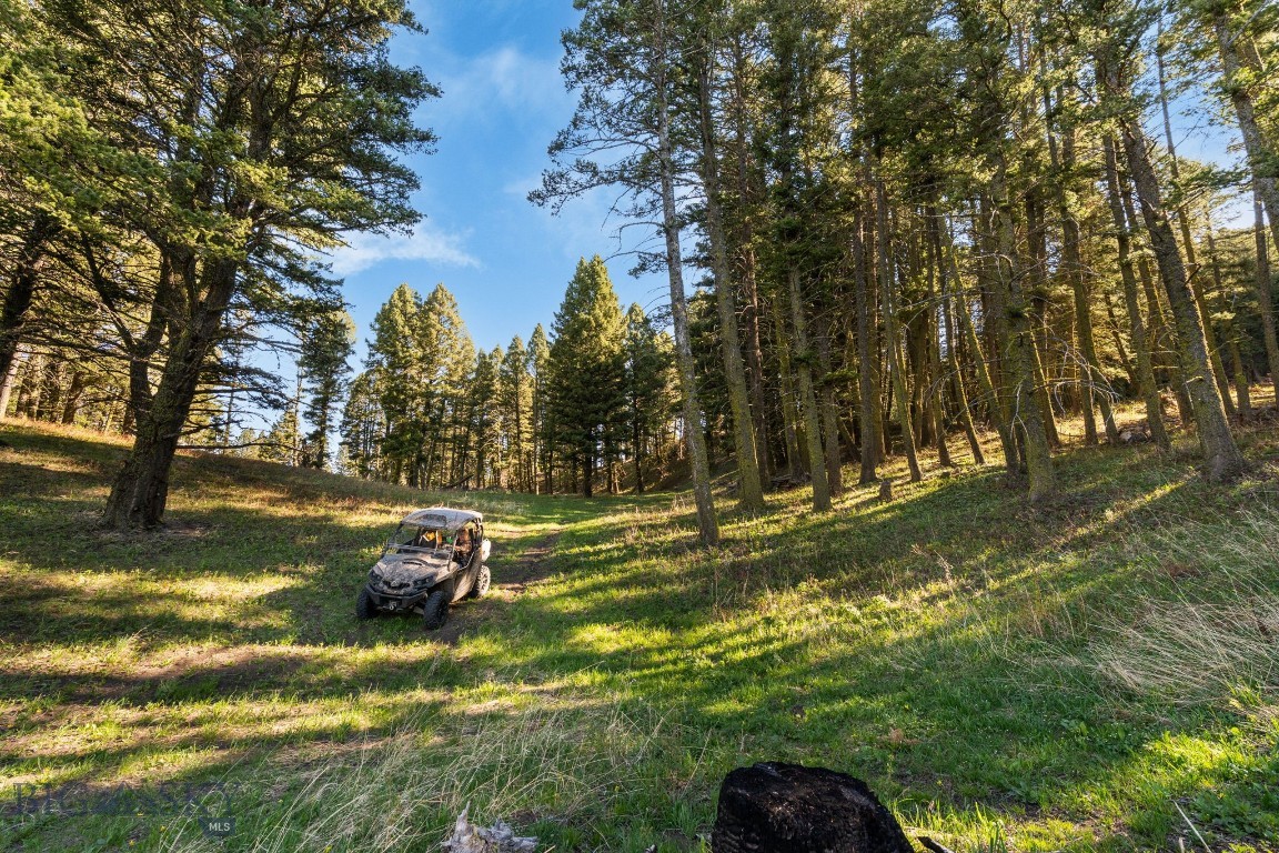 271 Sled Run Road