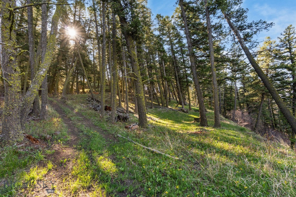 271 Sled Run Road