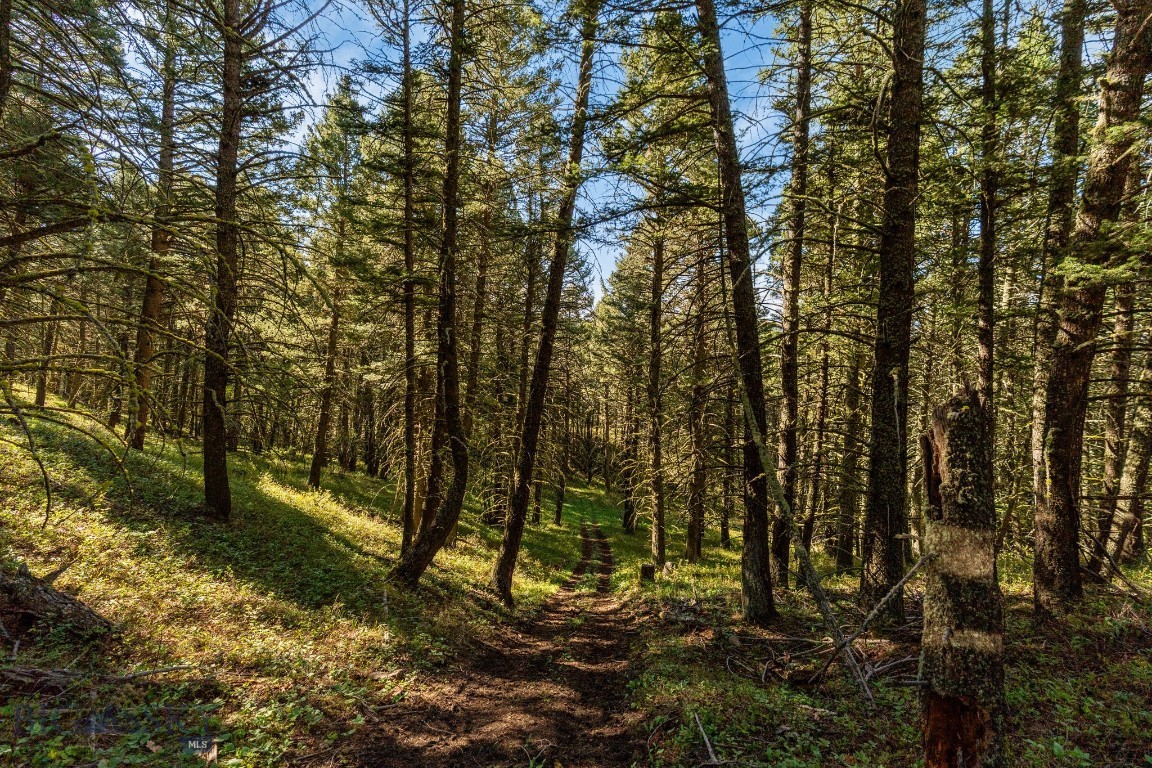 271 Sled Run Road
