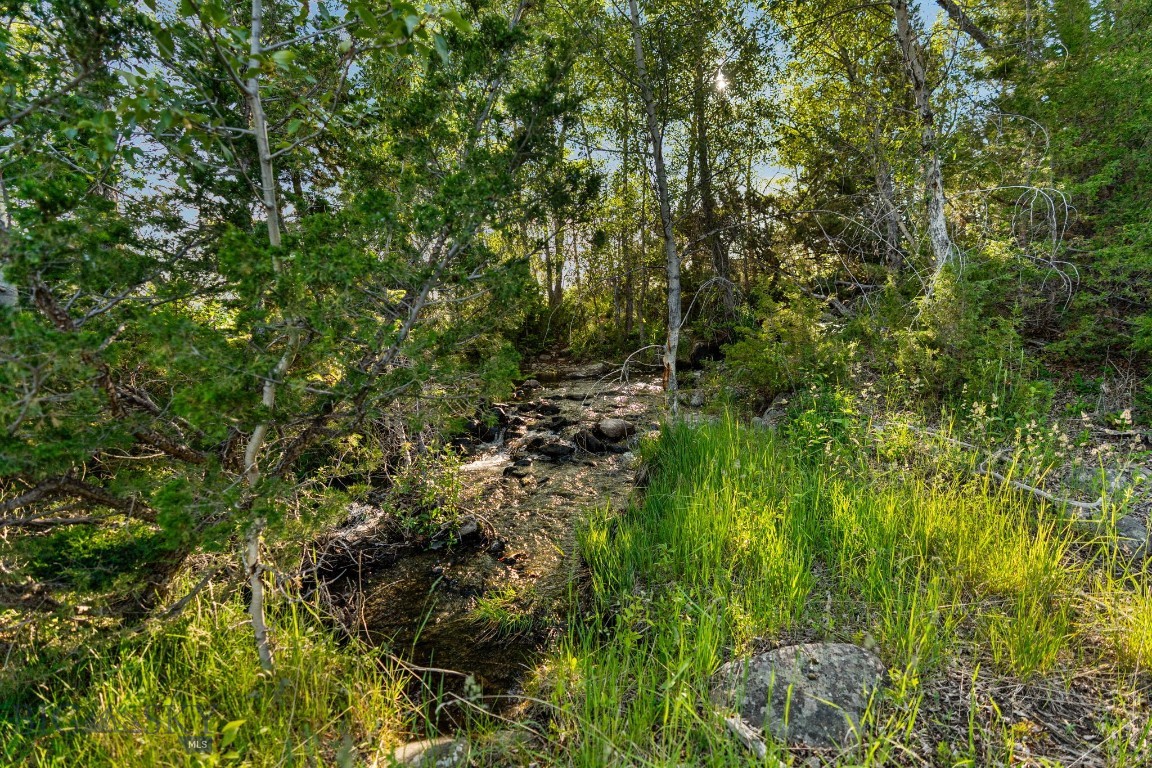 1580 Evan Reese Creek Road