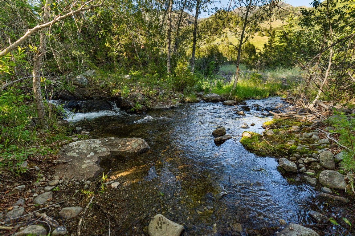 1580 Evan Reese Creek Road