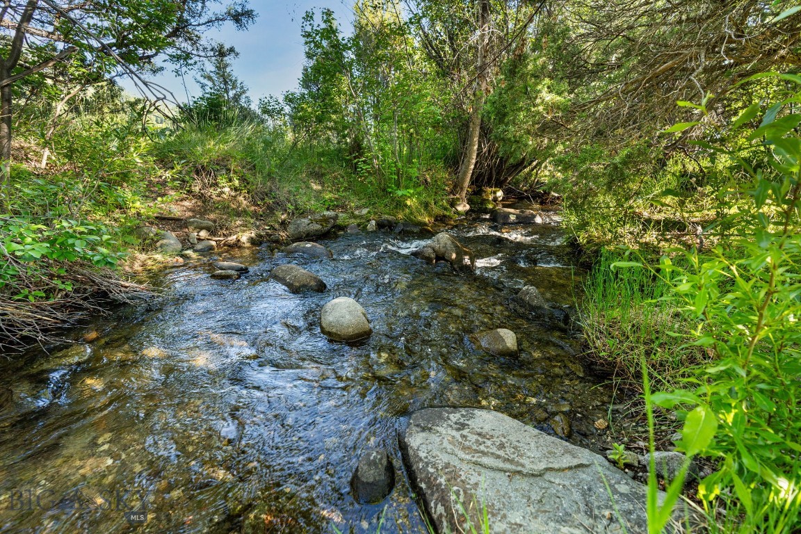 1580 Evan Reese Creek Road