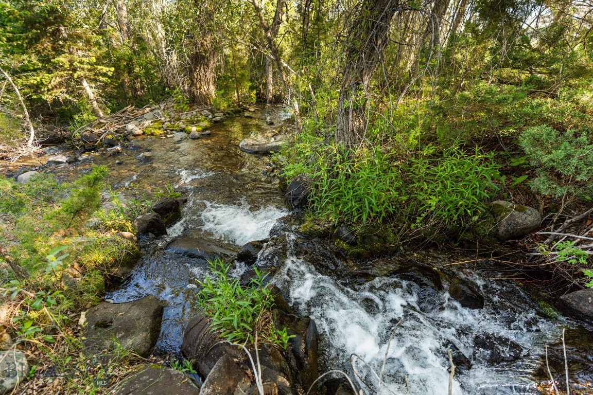 1580 Evan Reese Creek Road