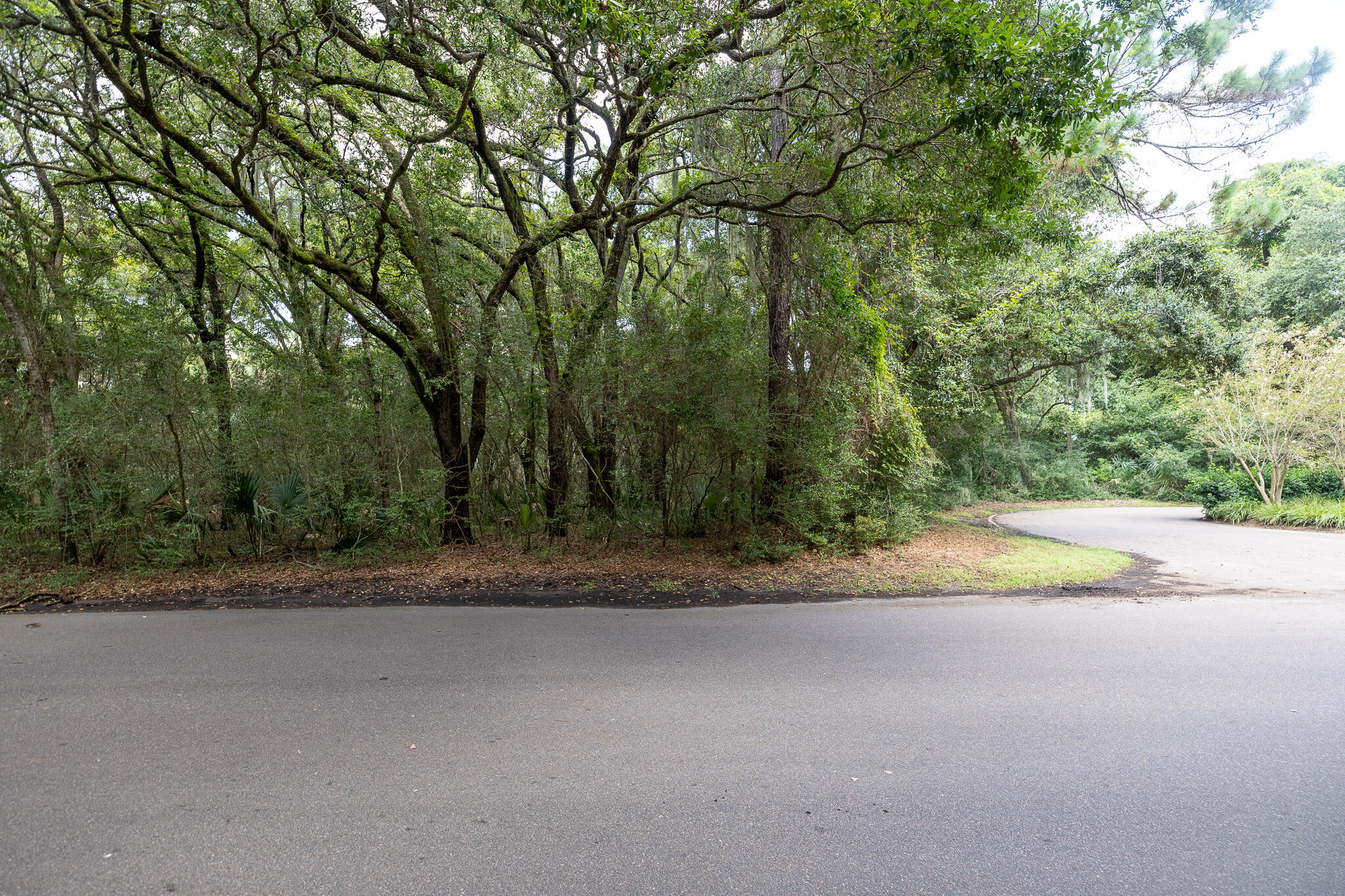 2128 Royal Pine Drive