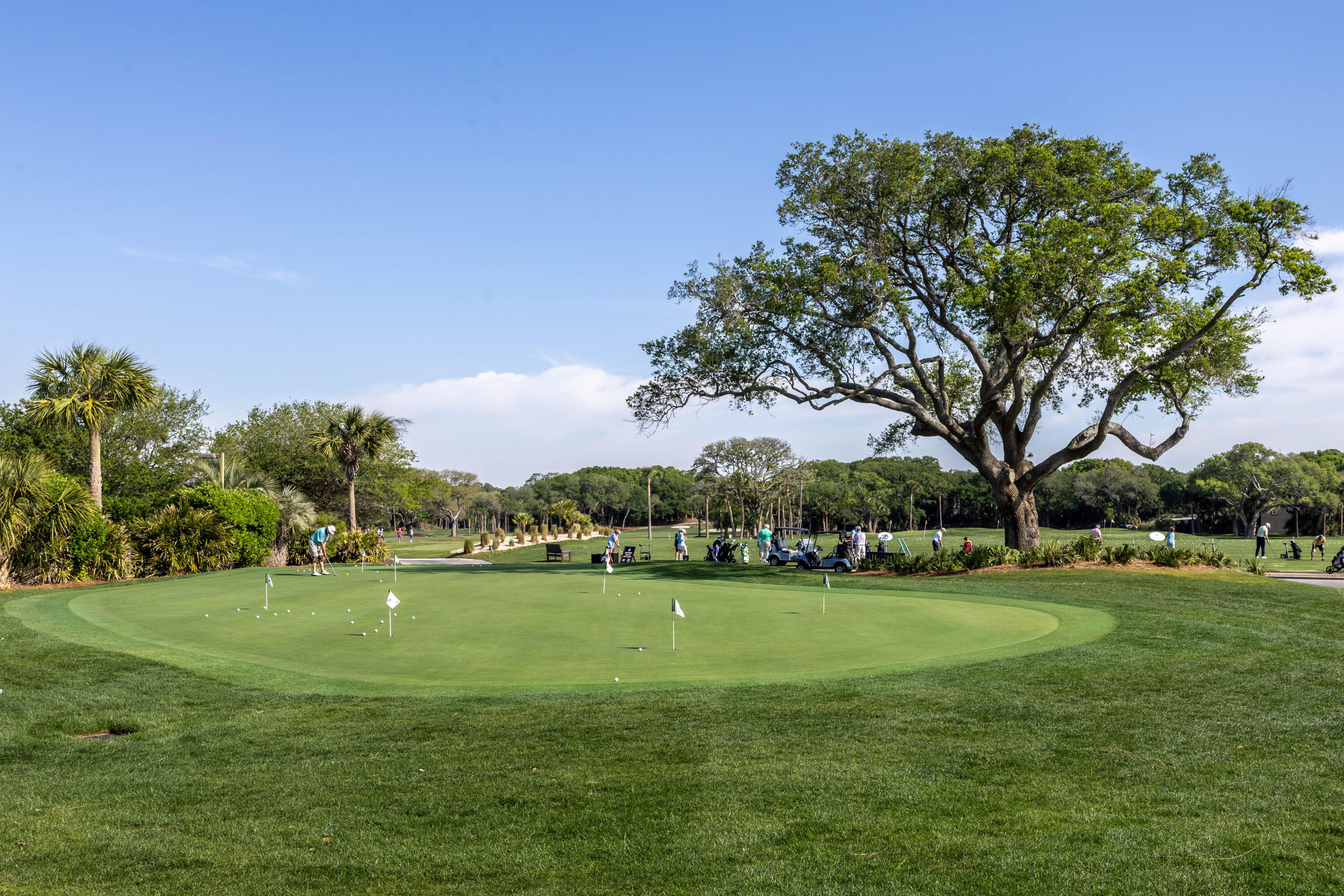 2128 Royal Pine Drive