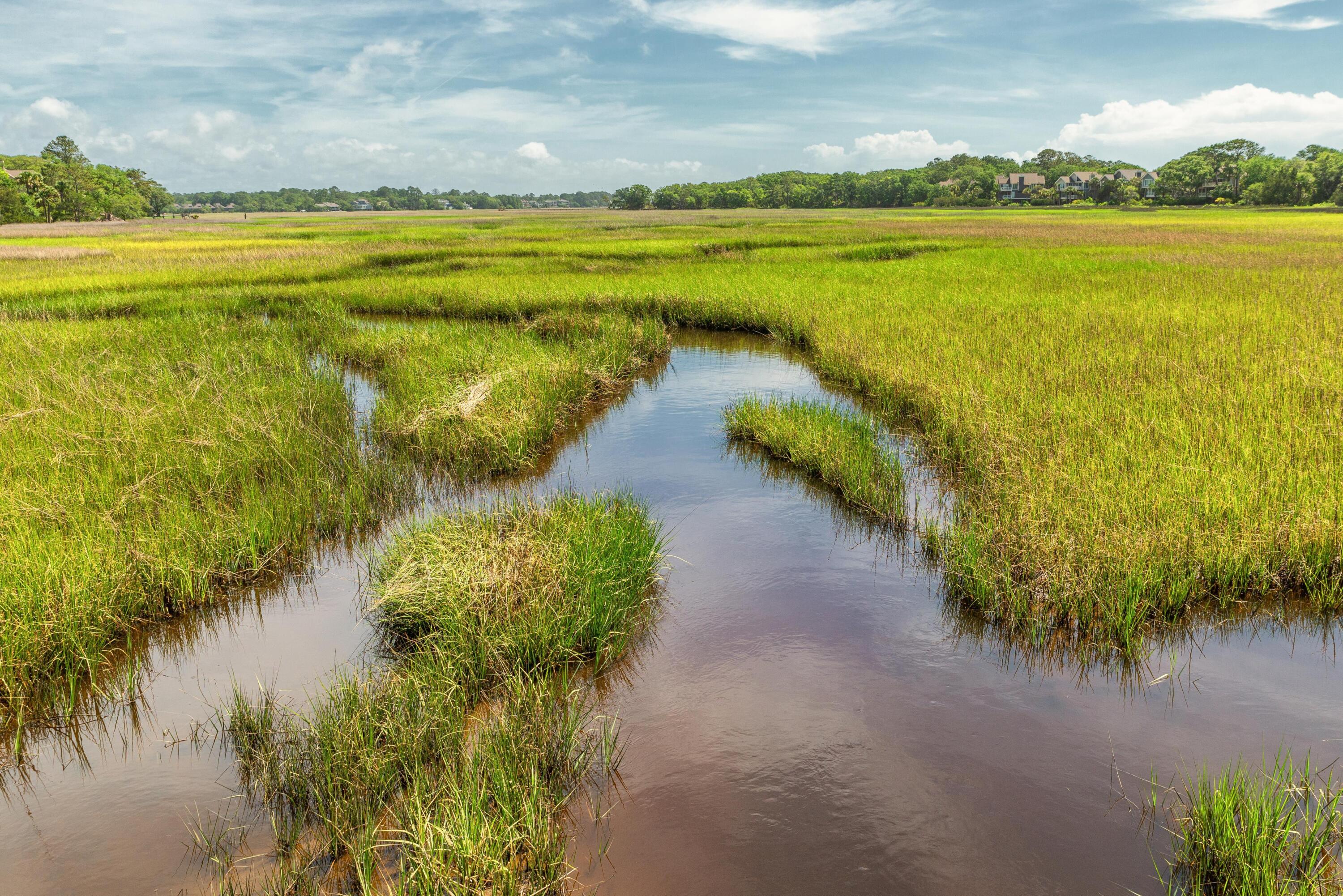 2128 Royal Pine Drive