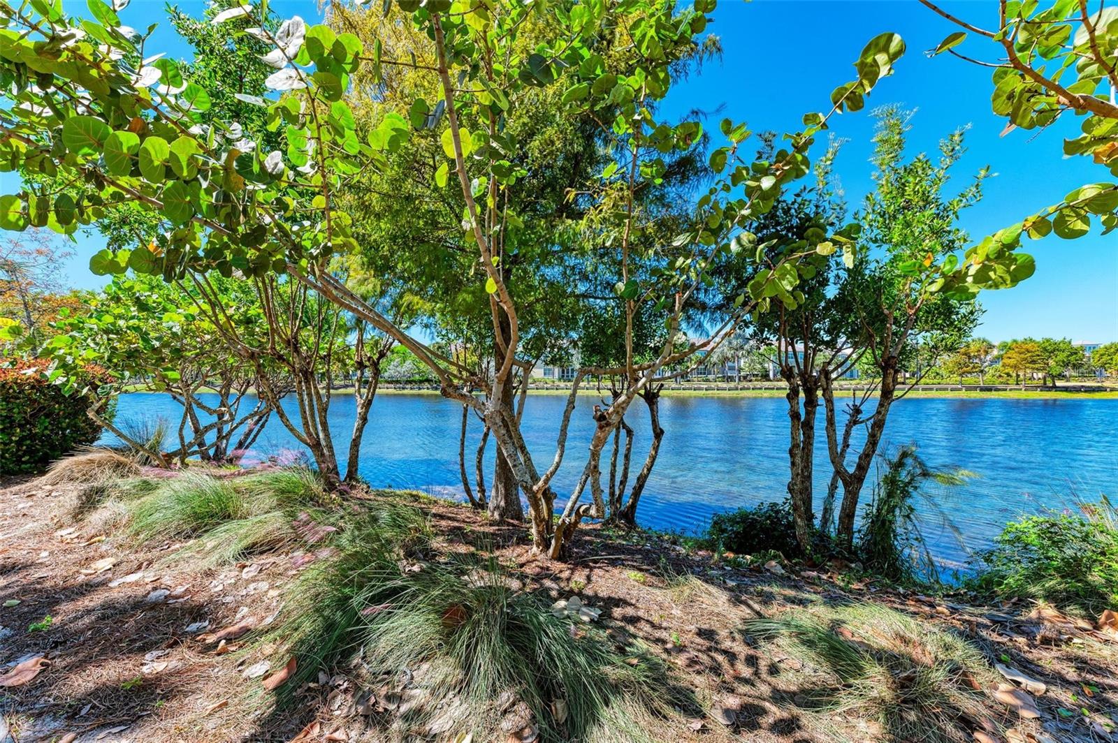 308 SAPPHIRE LAKE DR #101