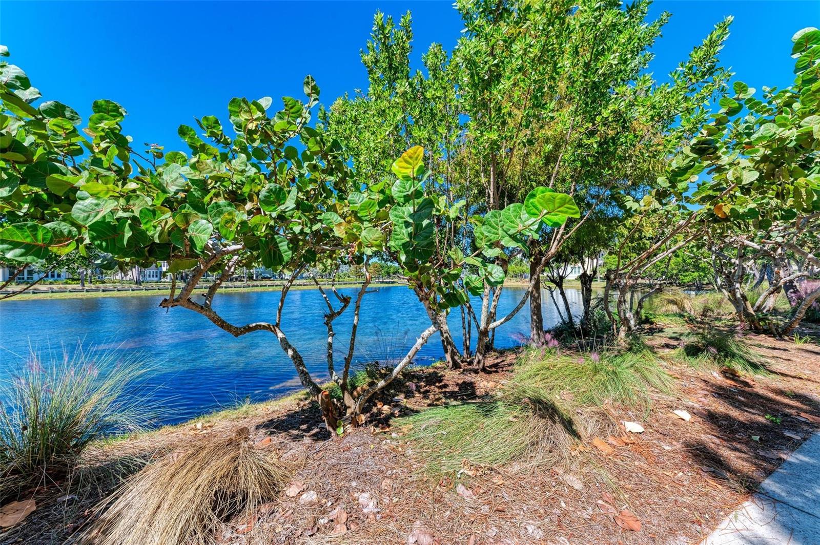 308 SAPPHIRE LAKE DR #101