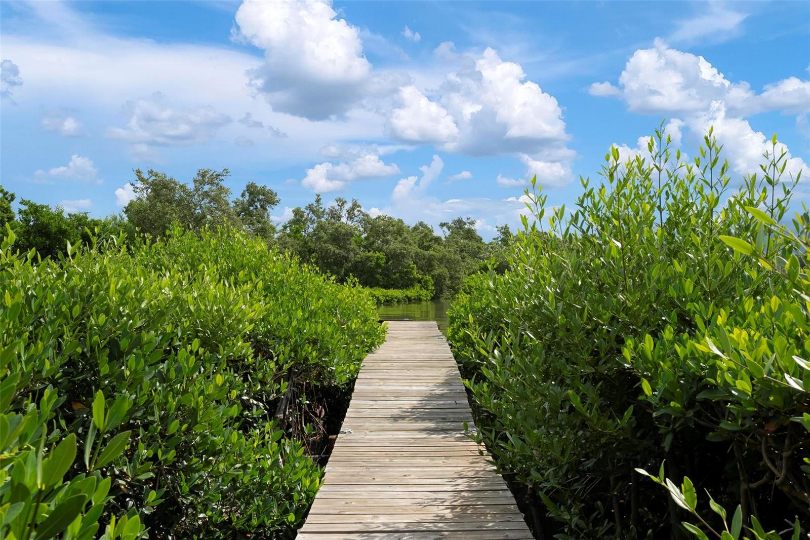 743 MANATEE AVE #743