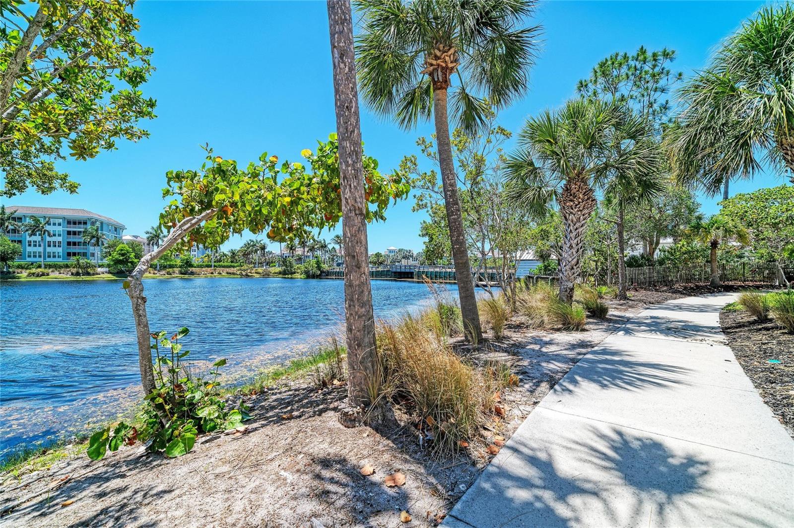 340 SAPPHIRE LAKE DR #201