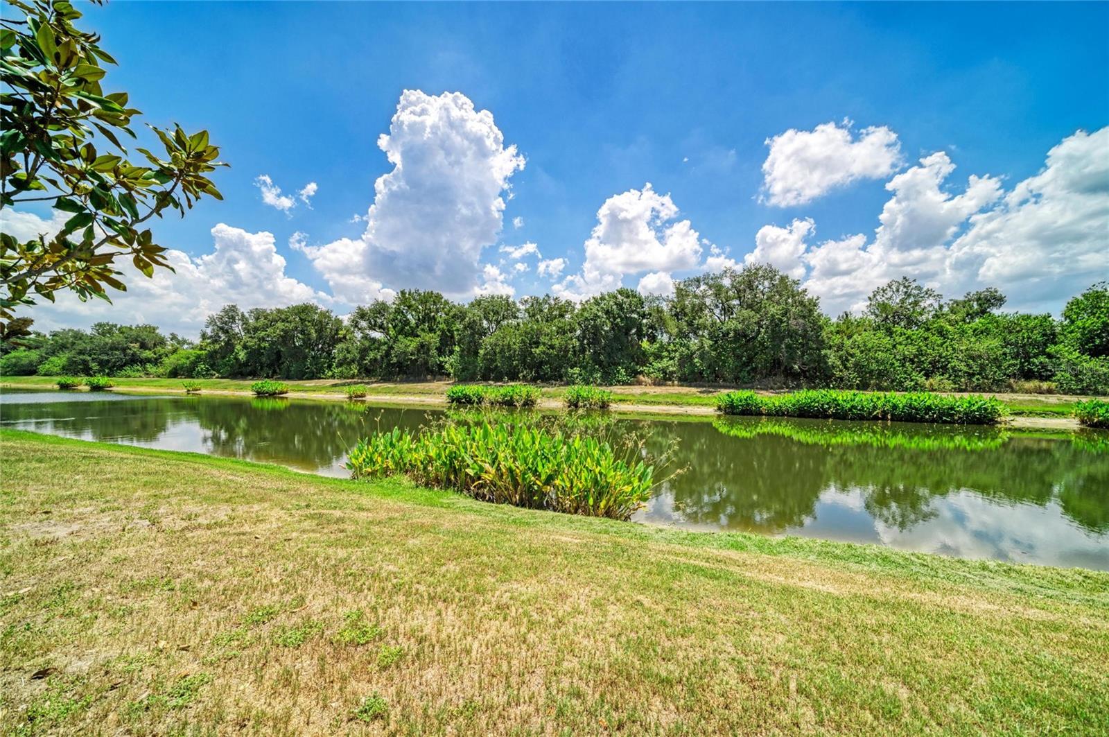 316 STAR SHELL DR