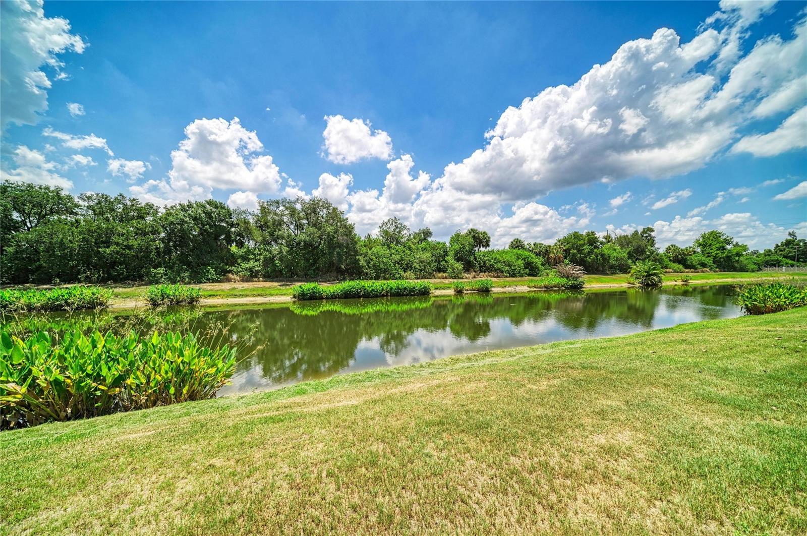 316 STAR SHELL DR