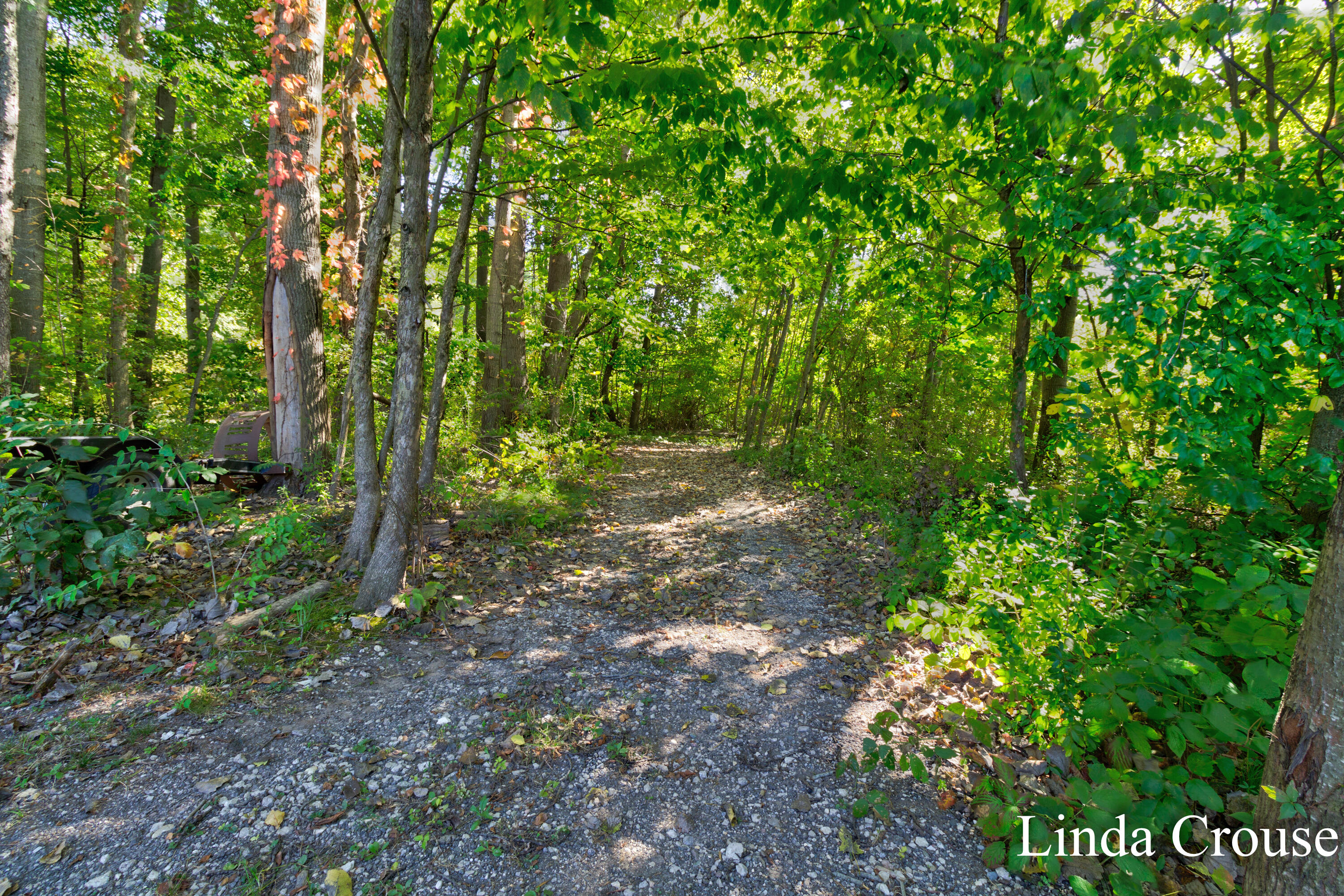 5346 Lamont Farms Drive