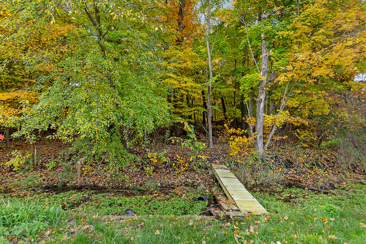 10616 White Birch Drive