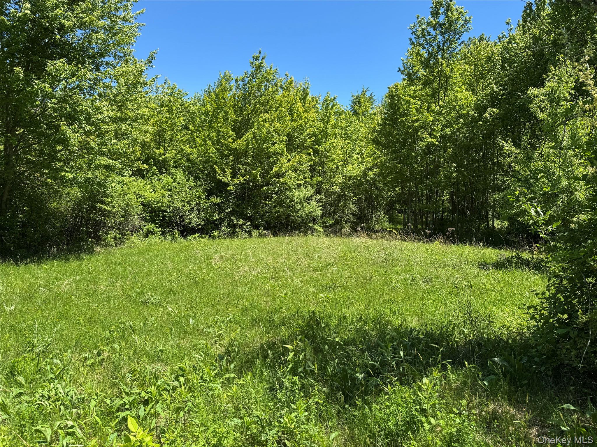 Parcel 1 - TBD Woodstock Road