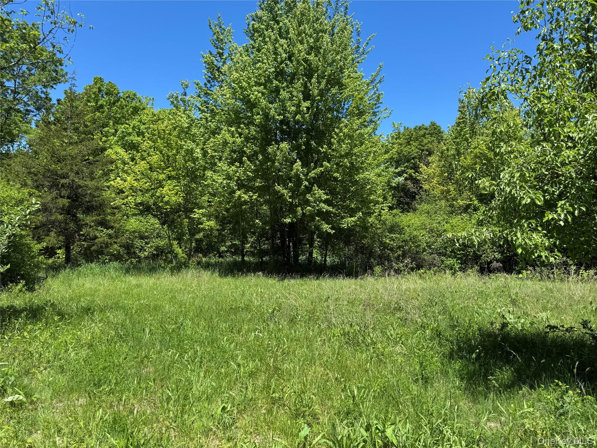 Parcel 1 - TBD Woodstock Road