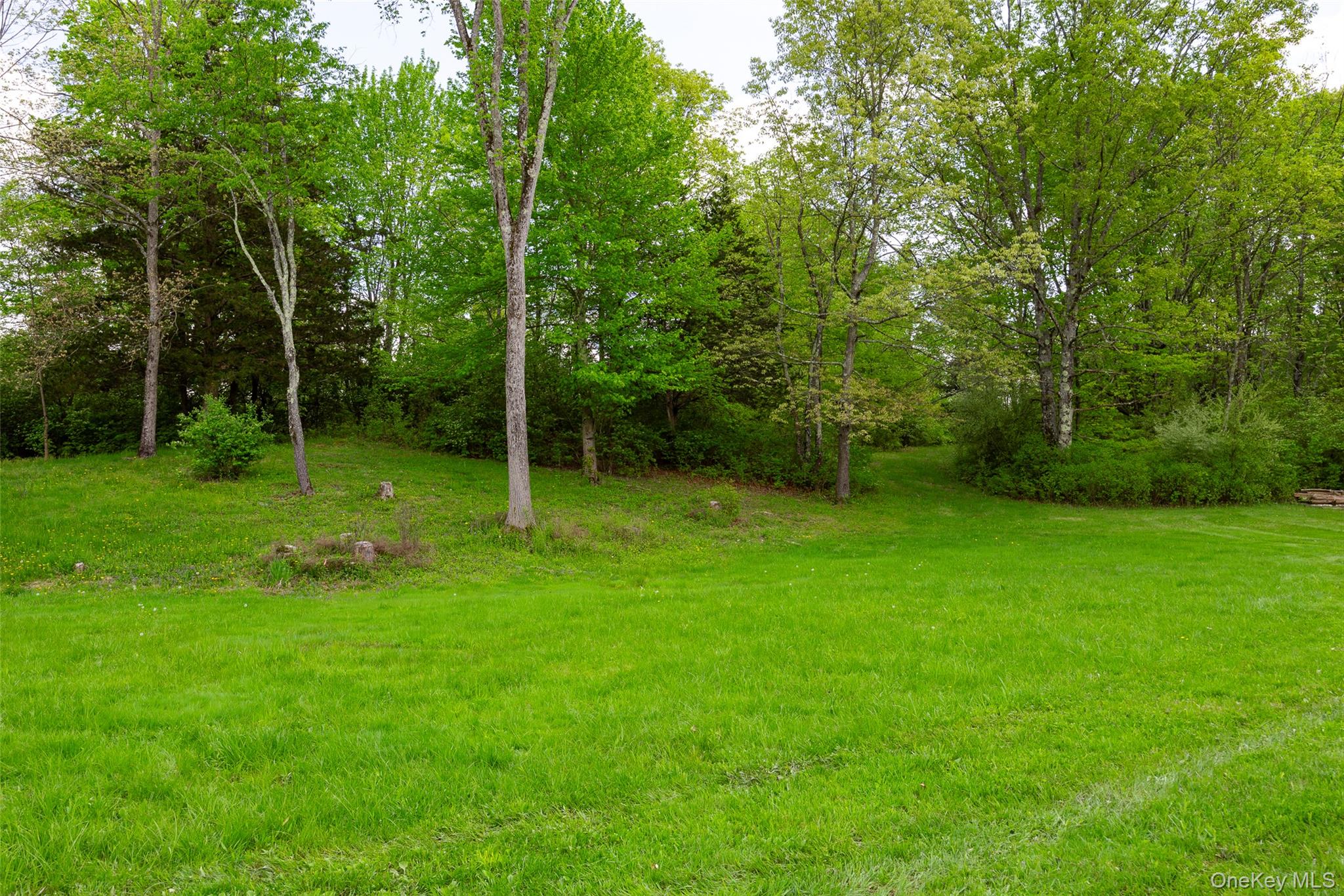 508 Woodstock Road