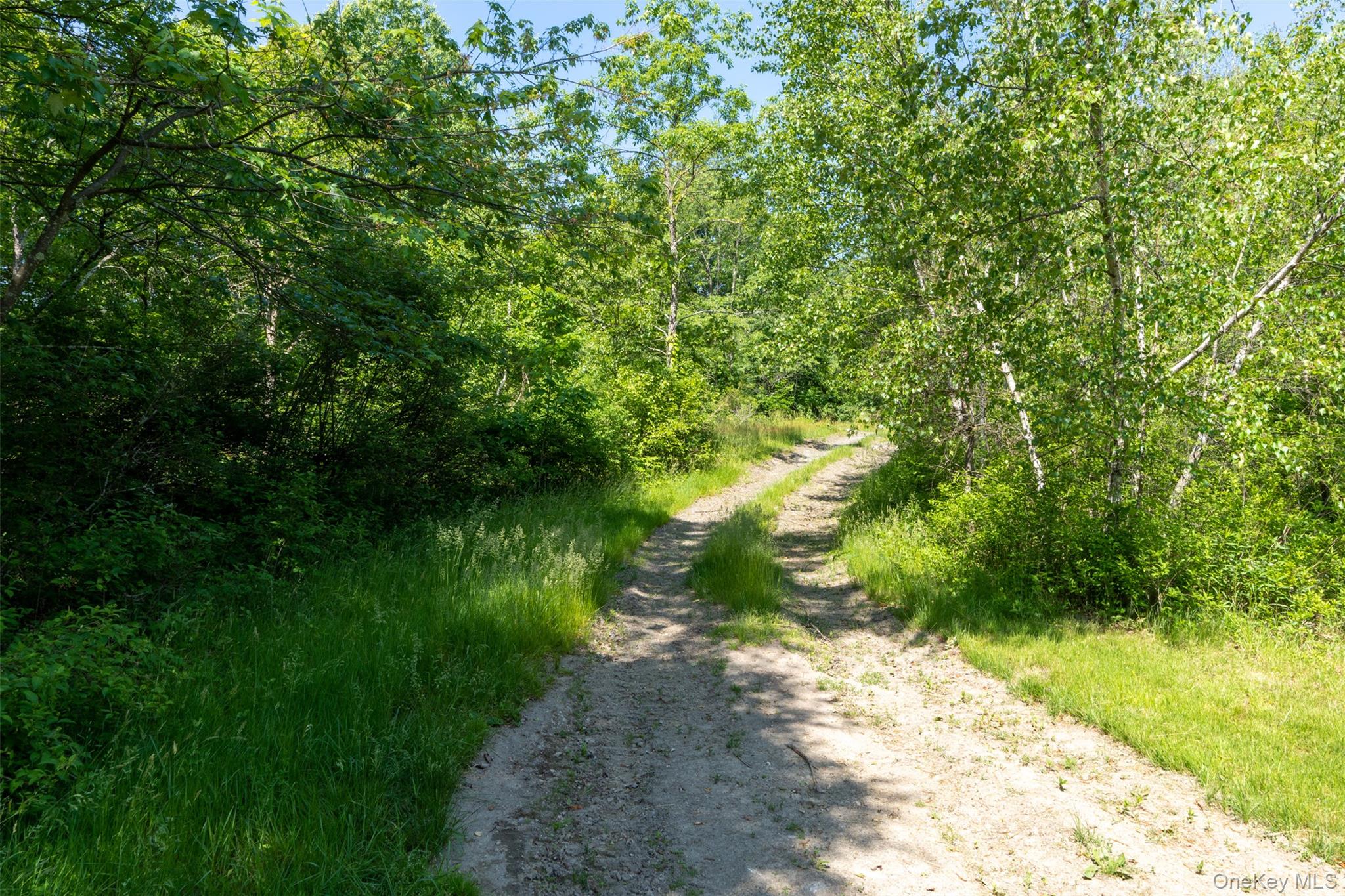 508 Woodstock Road