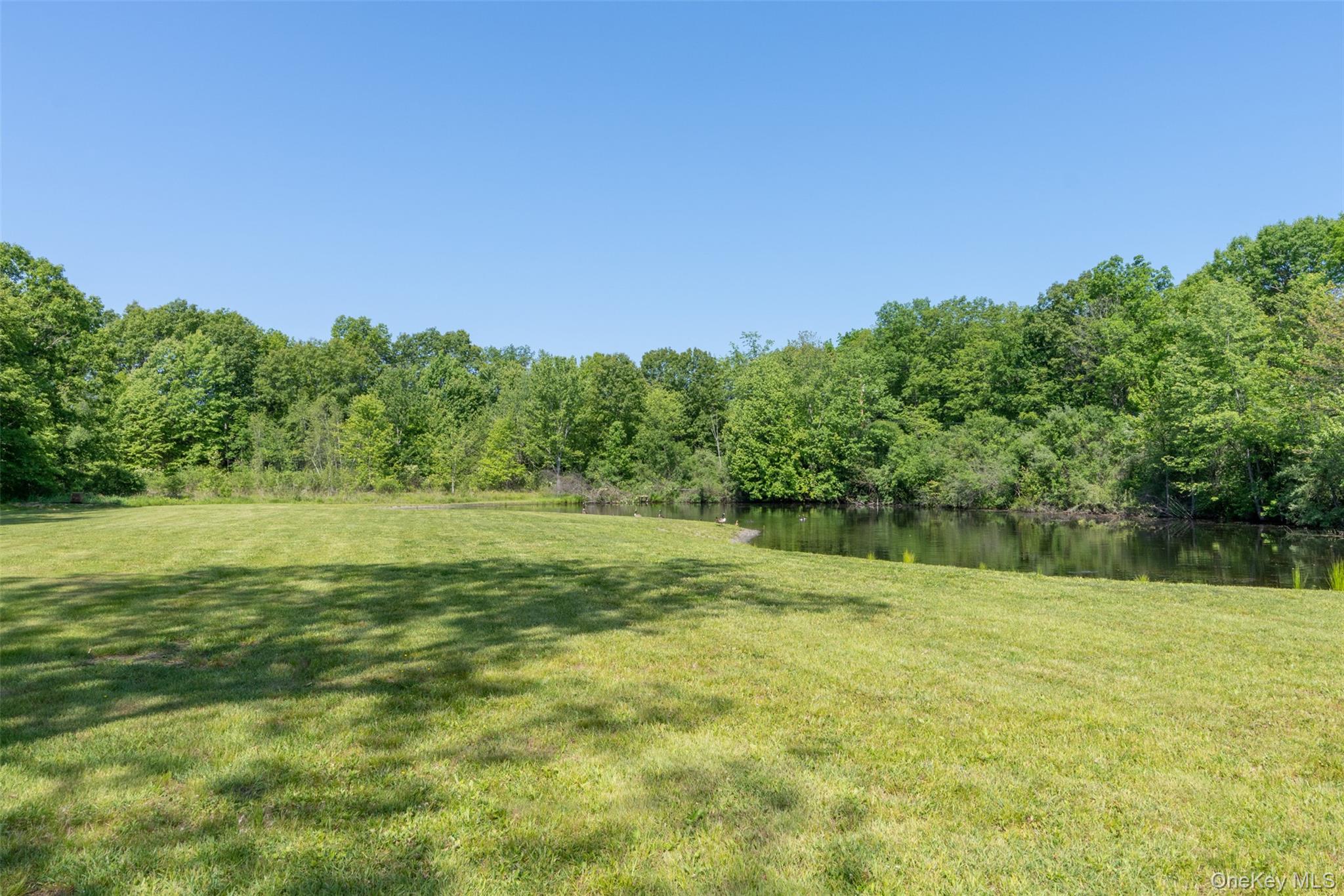 508 Woodstock Road