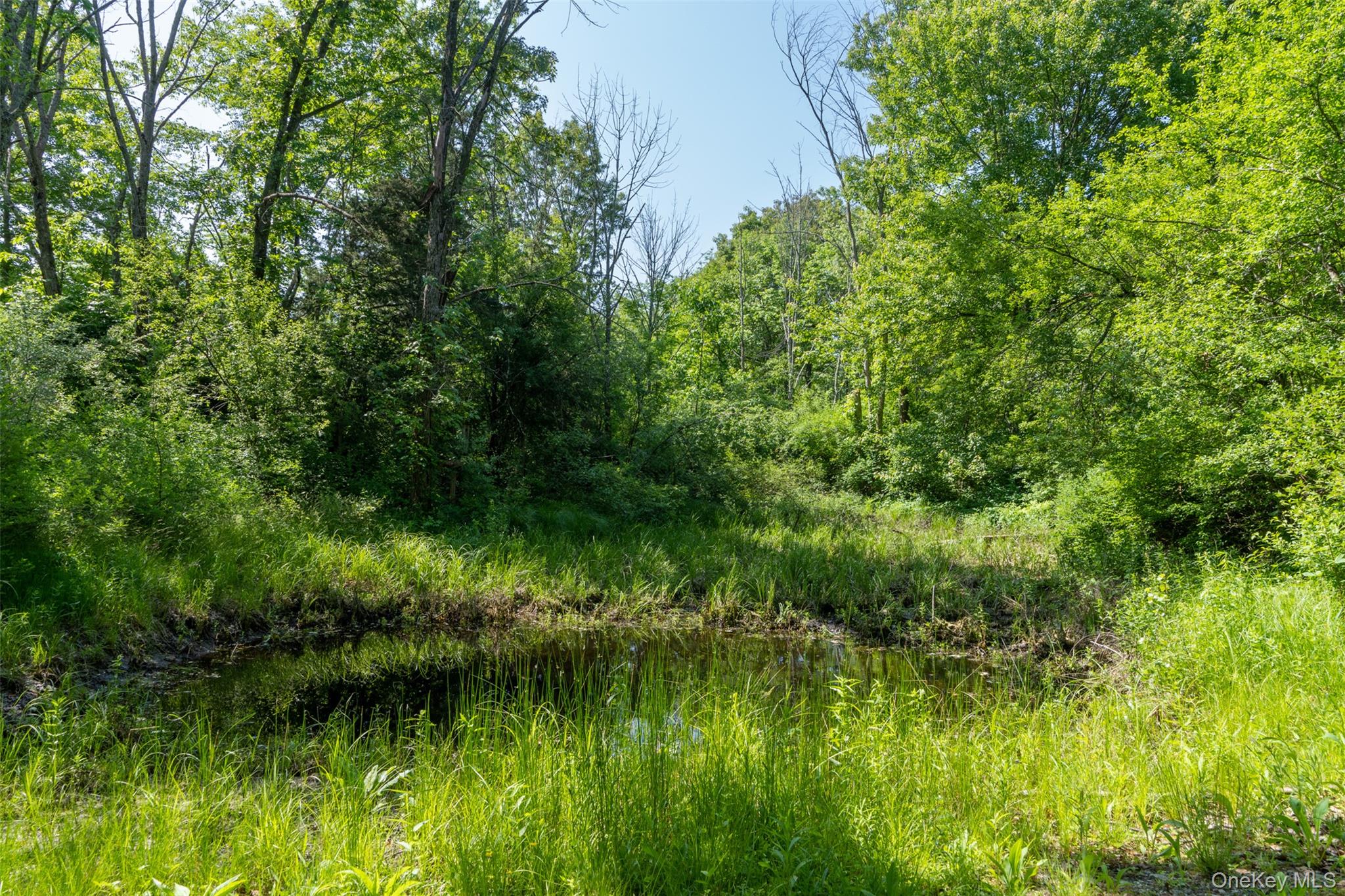 508 Woodstock Road