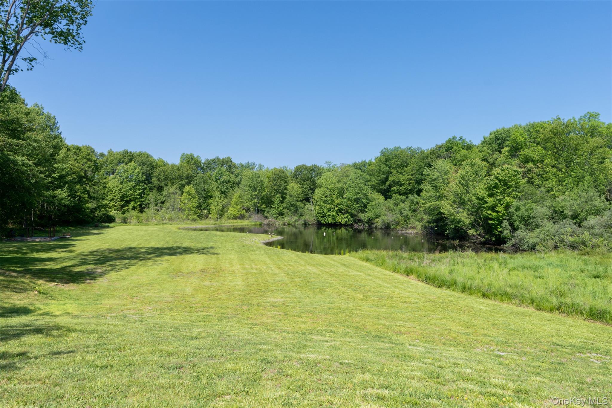 508 Woodstock Road