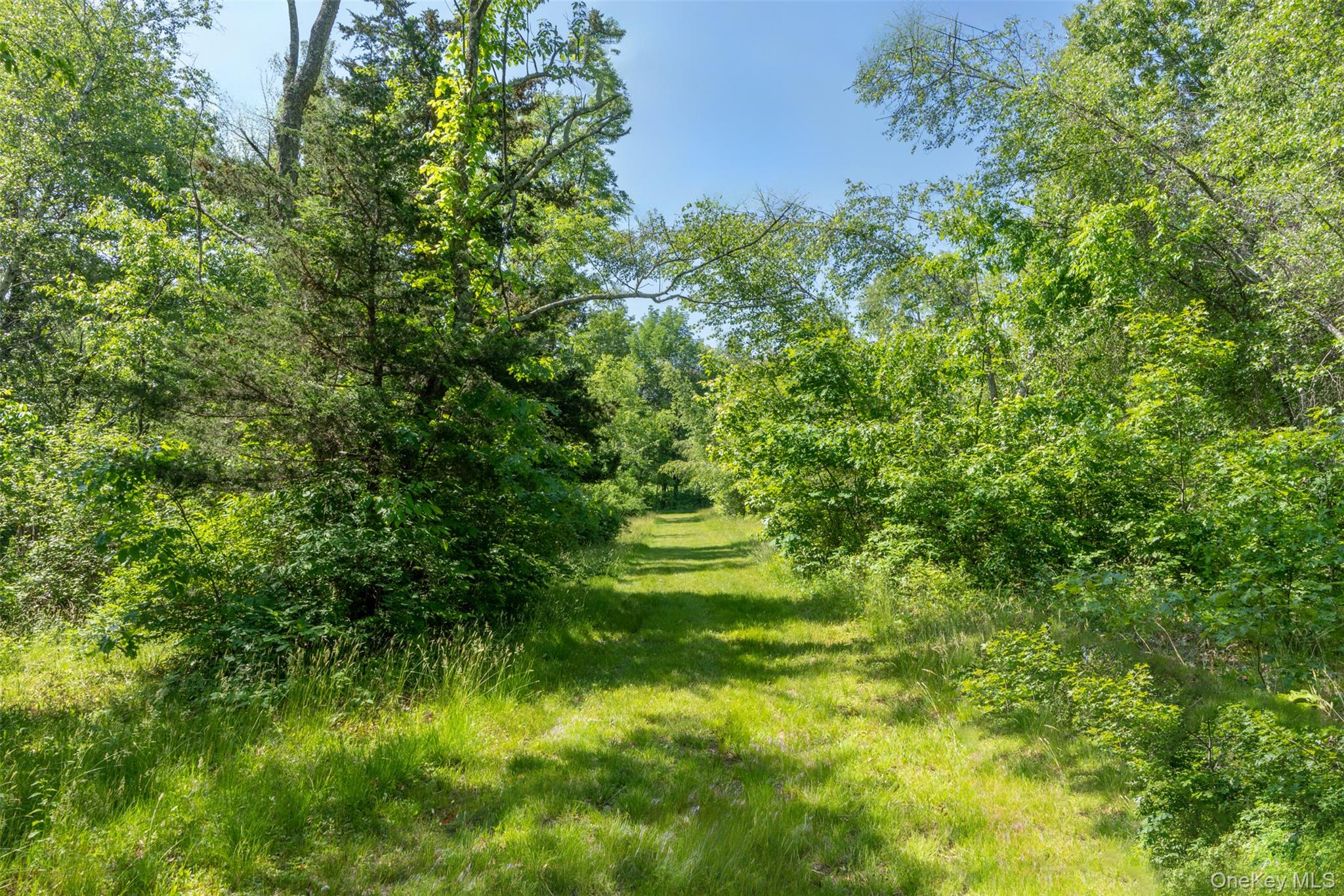 508 Woodstock Road