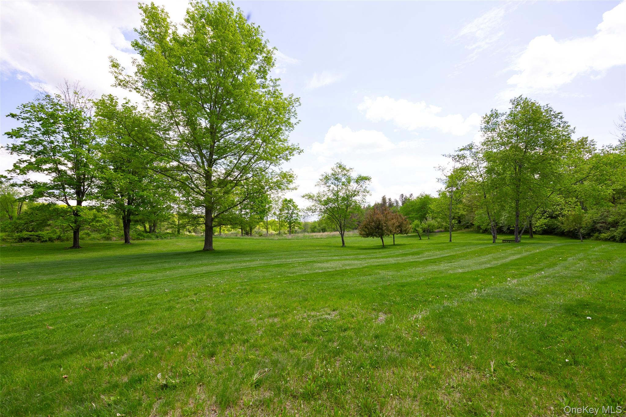 508 Woodstock Road