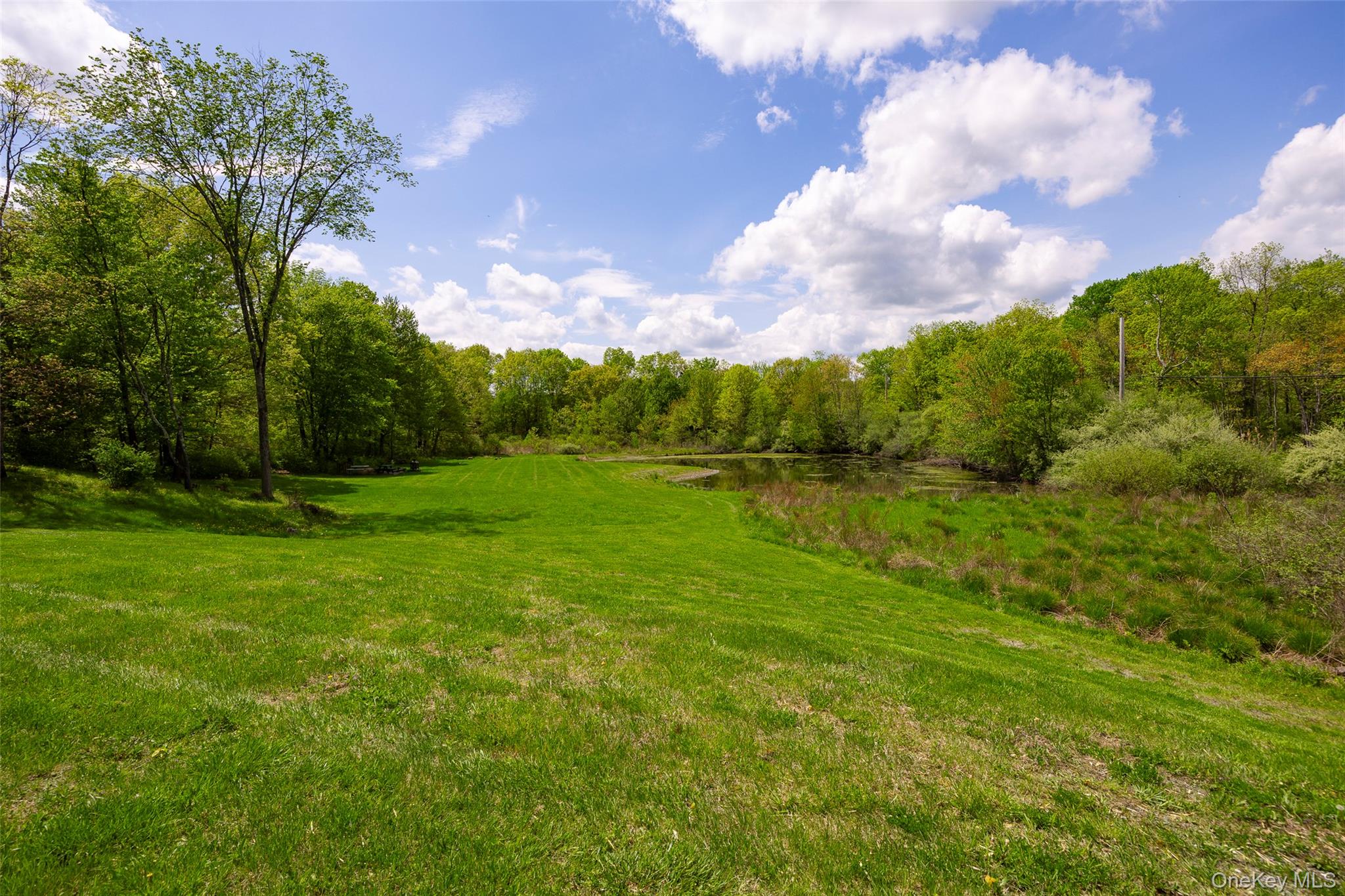 508 Woodstock Road