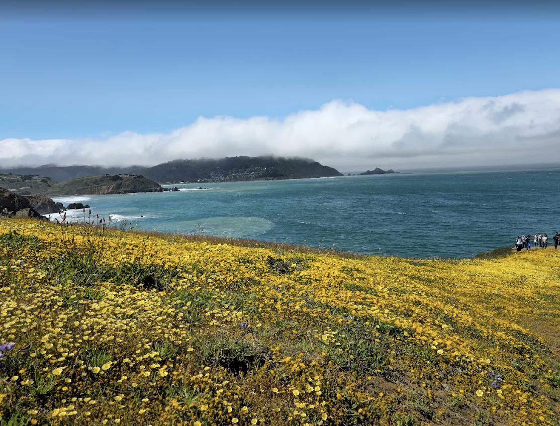 504 Monterey Road 14