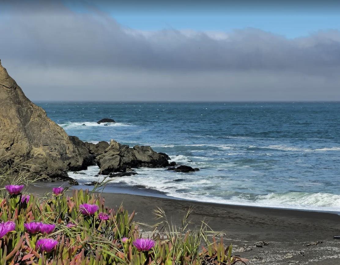 504 Monterey Road 14